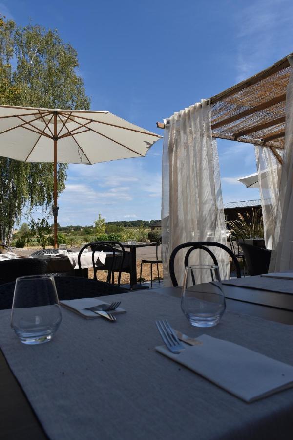 ז'יפמוגיפומון-שמפובר Le Cheval Blanc - Lac Du Der - Logis Hotel מראה חיצוני תמונה